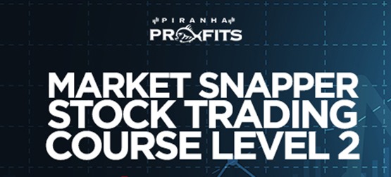 Adam Khoo - Piranha Profits - Stock Trading Course Level 2 Market Snapper