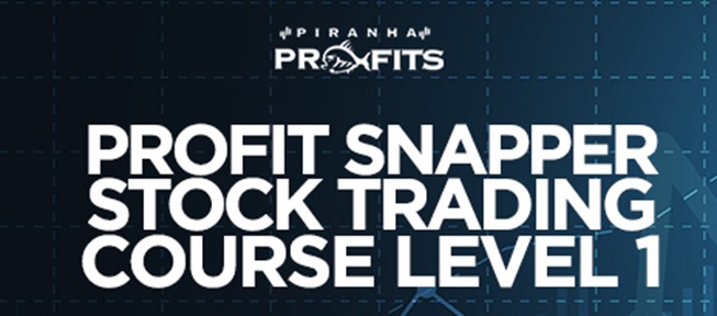 Piranha Profits - Stock Trading Course Level 1 Profit Snapper